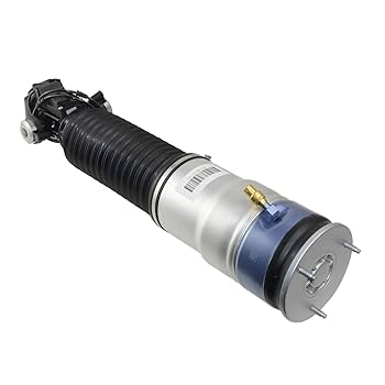サリー Amazon.com: Air Suspension Shock Strut Rear Left Compatible